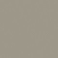 PL100Q 200 ANSI 61 GRAY