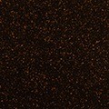 PX217QF 23 9407 DARK ROAST
