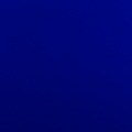 YJ000QF INT ACE 2010 NH BLUE