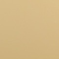 PD000QF 20 8021HY BEIGE
